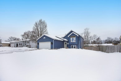 11045 Stanford Ave, Allendale, MI 49401 - photo 4