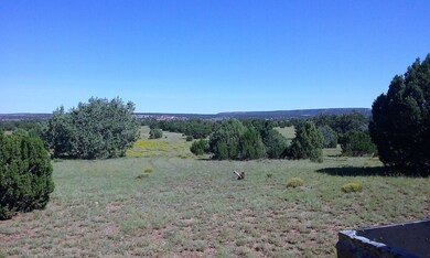 40 Acres