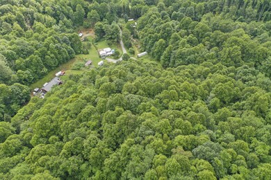 TBD Clarktown road Roan Mountain TN (6)