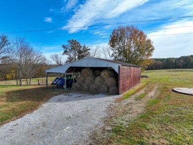 0 Ballowe Church Rd unit LotWP001, Vienna, IL 62995 - photo 6
