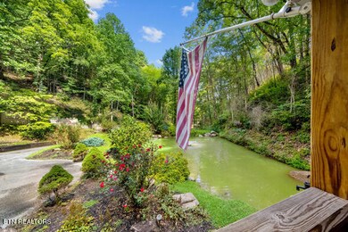 #3A Front - Pond