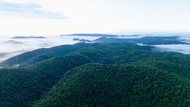 0000 County Road 6061, Flippin, AR 72634 - photo 6