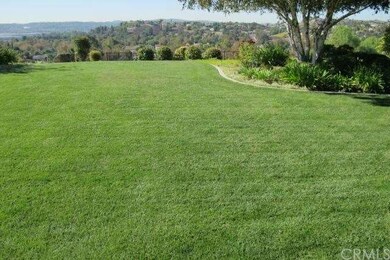 back yard and view--ground level