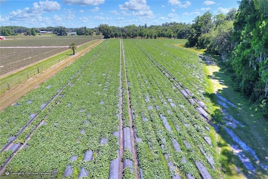 5625 Stafford Rd, Plant City, FL 33565 - photo 7