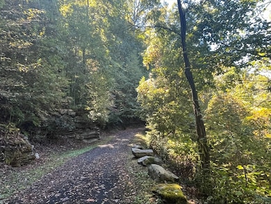 25 25 Stoney Bluff, Bryson City, NC 28803 - photo 6