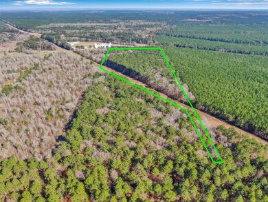 0 Pelican Rd unit 10571863, Shepherd, TX 77371 - photo 4