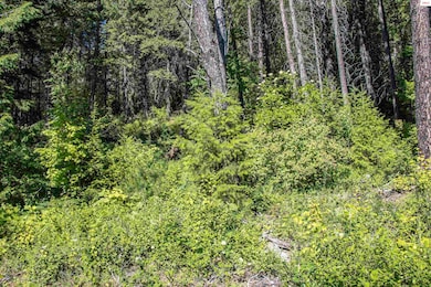 Lot 4 Windham Rd, Sagle, ID 83860 - photo 6