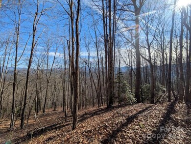 00 Sutton Branch Rd, Sylva, NC 28779 - photo 4