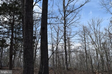 0 Lower View Rd unit VAWR136872, Strasburg, VA 22657 - photo 5