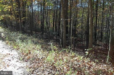 0 Johnny Cake Rd unit 1004197136, Great Cacapon, WV 25422 - photo 5