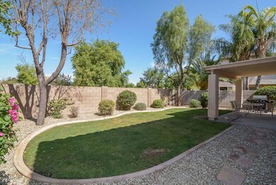 Backyard-Patio