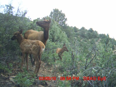 6218 Oak Park Dr unit 25, Trinidad, CO 81082 - photo 3