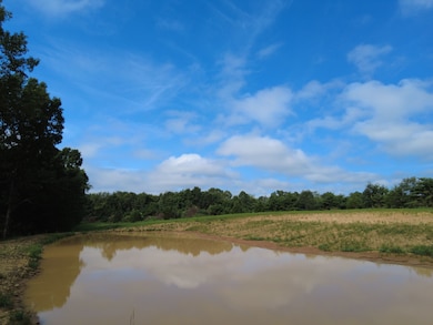 John Ward Rd, Peebles, OH 45660 - photo 7