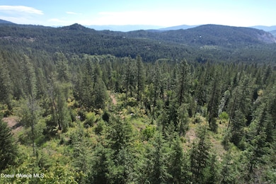 2500 Carr Creek Rd, Sandpoint, ID 83864 - photo 5