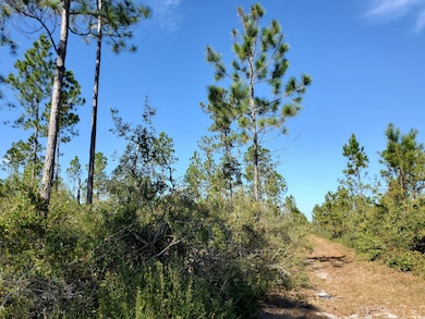 0 County Line Rd unit 20907517, Lee, FL 32059 - photo 2