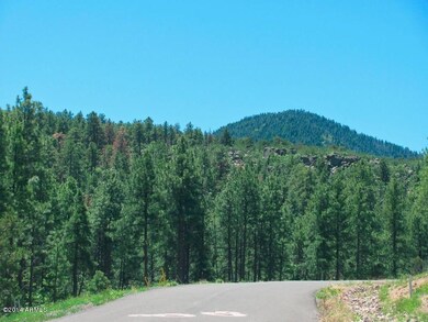 arizona_mountain_retreat_property_lot_wi