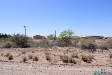 0 Coyote Rd Sw Deming Ranchettes Unit 44 unit 20222356, Deming, NM 88030 - photo 2