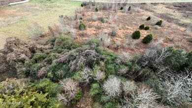 105 Roaming Fawn Dr, Rockwood, TN 37854 - photo 5