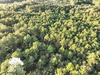 Tbd Lemon Rd, Walterboro, SC 29488 - photo 2