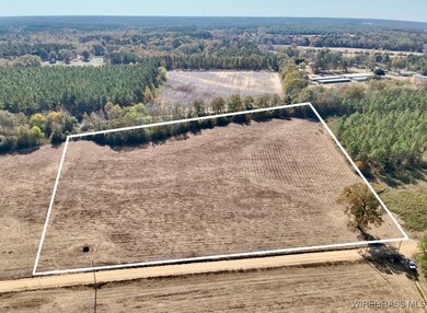 6.74 Acres Huskey Rd, Dothan, AL 36303 - photo 5