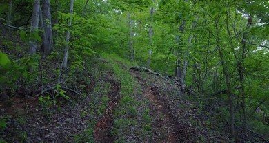 10900 Sugar Creek Rd, Bentonville, AR 72712 - photo 4