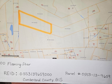 00 Flaming Star Dr, Pine Forest, NC 28356 - photo 4