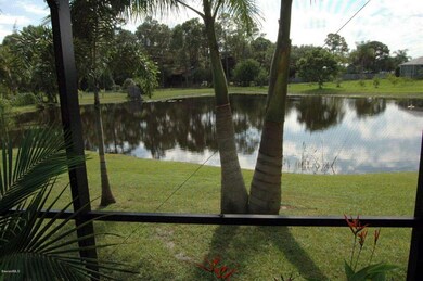 Stock Pond !