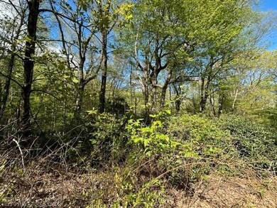 TBD Windermere Way, Fancy Gap, VA 24328 - photo 3