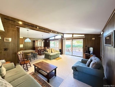 19 Andrew Paye Rd, Pond Eddy, NY 12770 - photo 7