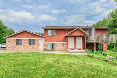 Circle Shore 4753-4
