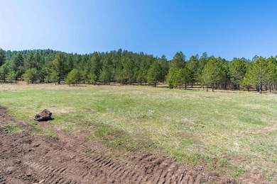 Lot H Cold Spring Trail, Custer, SD 57730 - photo 4
