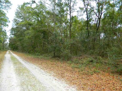 0 Noles Ln unit 302968, Crawfordville, FL 32327 - photo 4