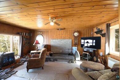 Carpeted living room featuring wooden walls, radia