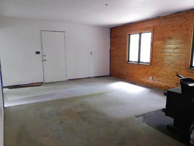 1250 W Woodland Park Dr, Bitely, MI 49309 - photo 6