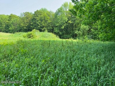 IMG_4290