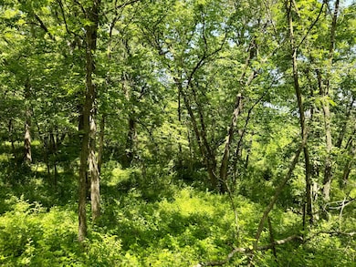 51152 Clarke-Lucas Ave, Lucas, IA 50151 - photo 7