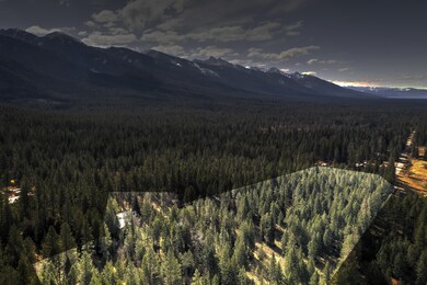 33799 Canyon Mill Rd - Property