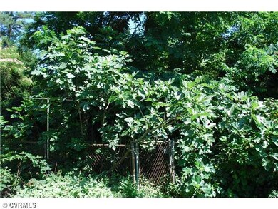 Yard/Garden - Fig Trees