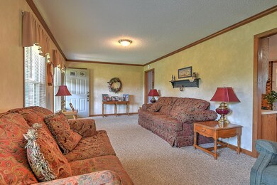 320 Coxes Springs Rd, Fall Branch, TN 37656 - photo 4