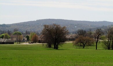 730 W Buchanan St, Prairie Grove, AR 72753 - photo 2