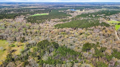 tbd Beechgrove Rd, Clinton, LA 70722 - photo 5