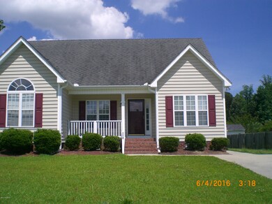 778 Ray Crawford Dr, Winterville, NC 28590 - photo 4