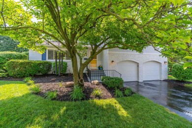 4904 Widner Street (Tevisvisuals.com)