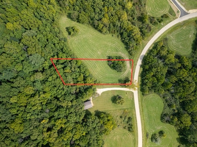 60 Shenandoah Dr, the Galena Territory, IL 61036 - photo 4