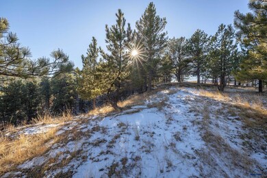Lot 17 Block 1 Cedar Berry Cir, Spearfish, SD 57783 - photo 4