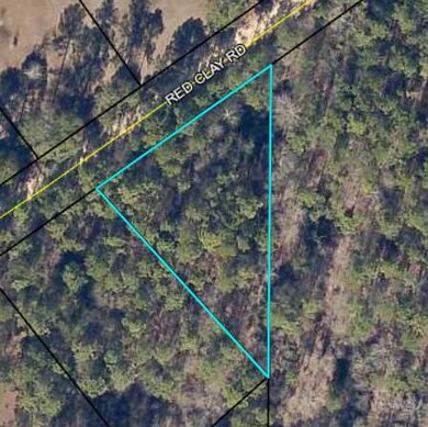 Aerial Shot