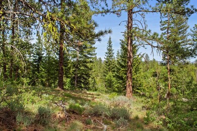 Possible Building Site