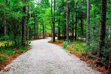 25064 Fm1488 Rd, Magnolia, TX 77355 - photo 2