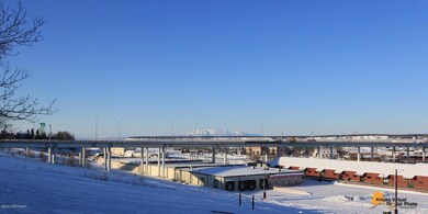 Views of Susitna!