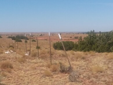 Lot 214.woodridge ranch 2